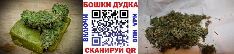 omg tor  Лосино-Петровский  Canna-Cookies конопля 