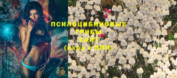 mdpv Мегион