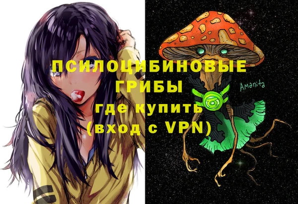 бутират Медногорск