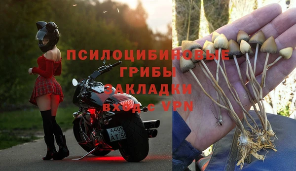 бутират Медногорск