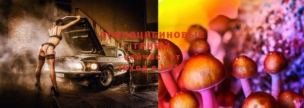 mdma Михайловск