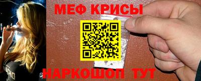 PSILOCYBIN Гатчина