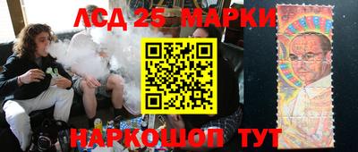 PSILOCYBIN Гатчина