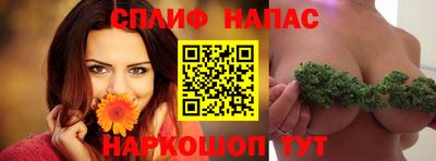 PSILOCYBIN Гатчина