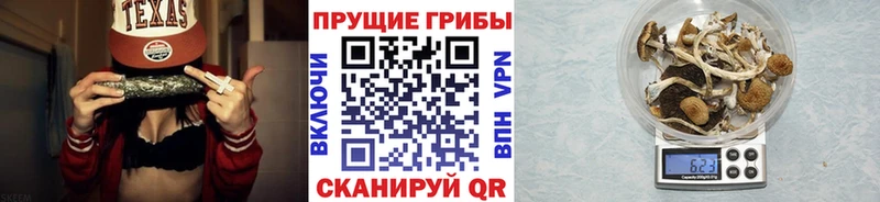 Галлюциногенные грибы Psilocybine cubensis  Лосино-Петровский 