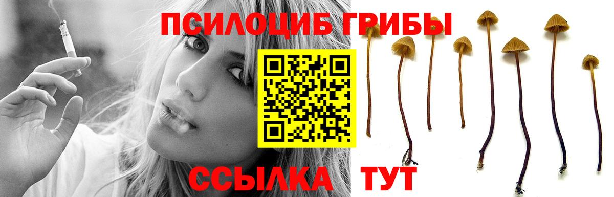 Лосино-Петровский  купить наркотики сайты  Вход с VPN  Галлюциногенные грибы GOLDEN TEACHER 